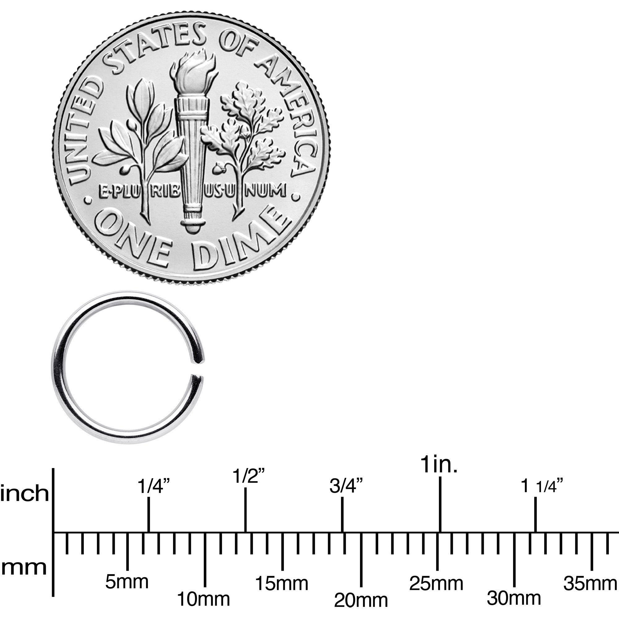 18G 5/16 Seamless Circular Ring Set of 12