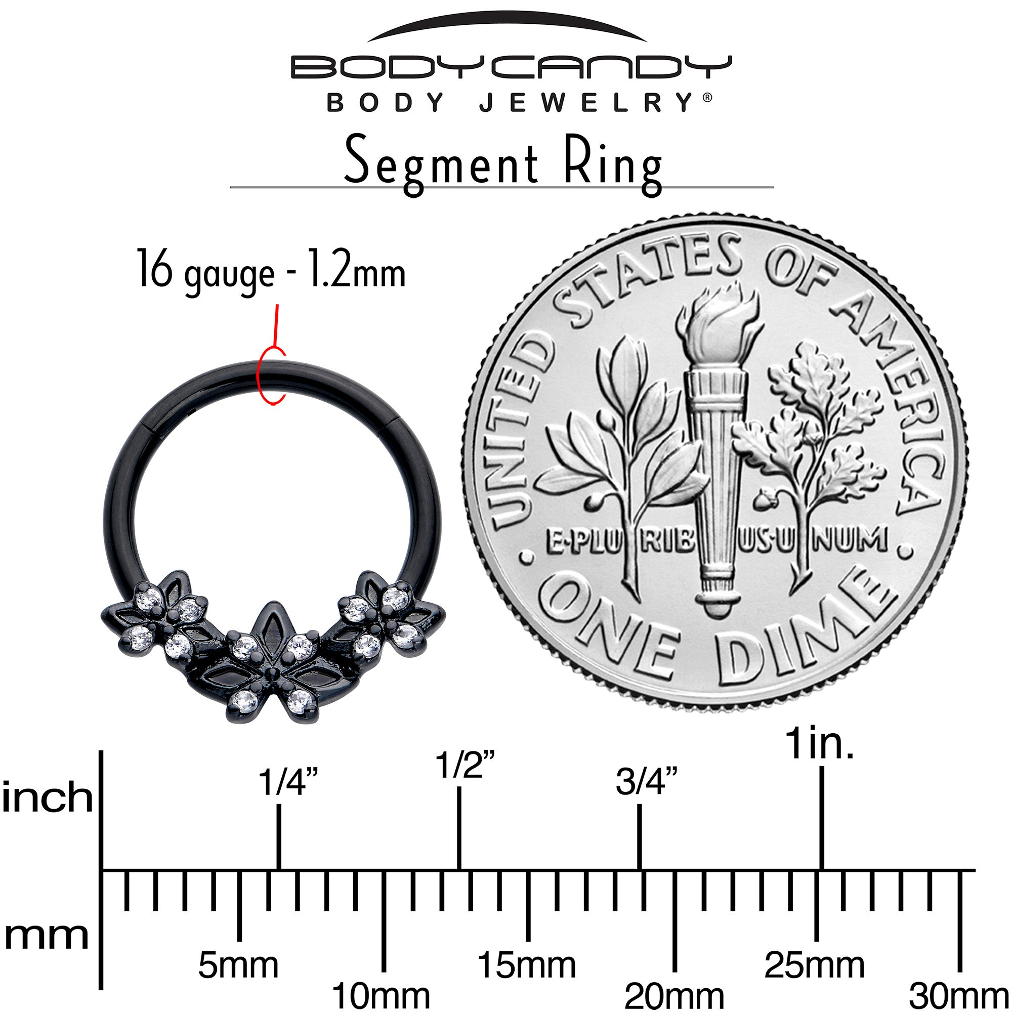 16G 3/8 Clear CZ Gem Black Gothic Star Trio Hinged Segment Ring
