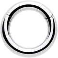 14G 1/4 316L Surgical Steel Precision Hinged Segment Hoop
