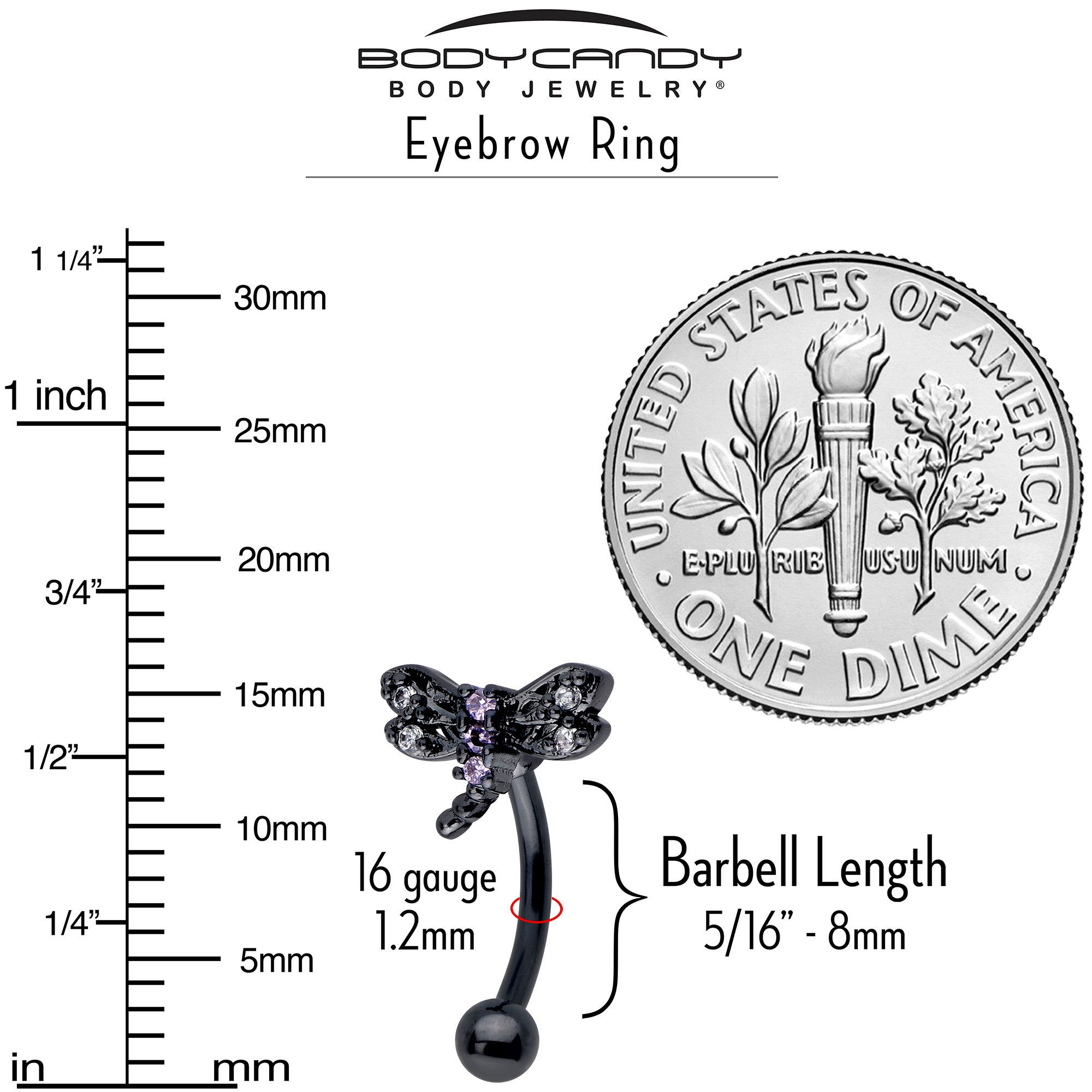 16G 5/16 Purple CZ Gem Black Night Dragonfly Curved Eyebrow Ring